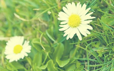 英国图书与信息管理学专业