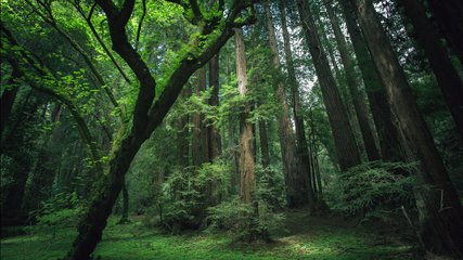 美国留学专业排名.jpg 美国留学专业排名.jpg