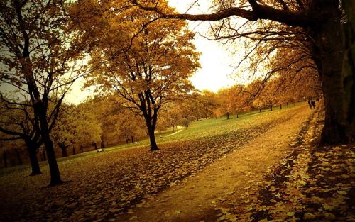 英国伦敦艺术大学有什么魅力.jpg 英国伦敦艺术大学有什么魅力.jpg