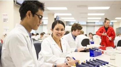 1527497059385261.jpg 1.jpg