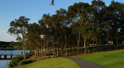 1527670065794266.jpg 1527670065794266.jpg