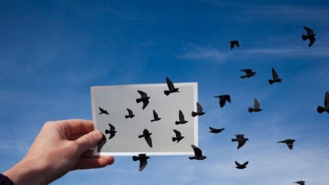 美国留学申请EE和CS专业攻略