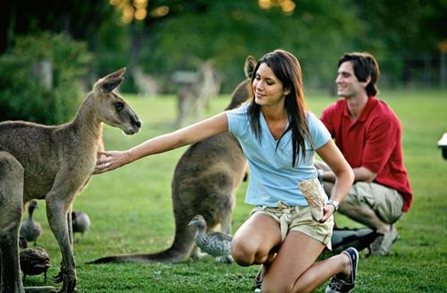 去澳大利亚留学，生活细节需要注意了！