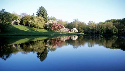 美国留学在小镇上也是另一种美！