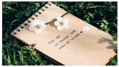 美国留学生如何才能融入美国的生活?