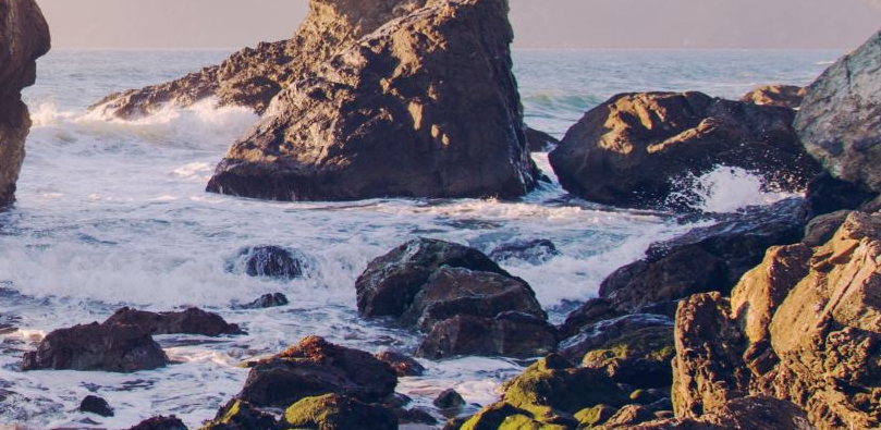 新加坡留学对安全意识有多重视