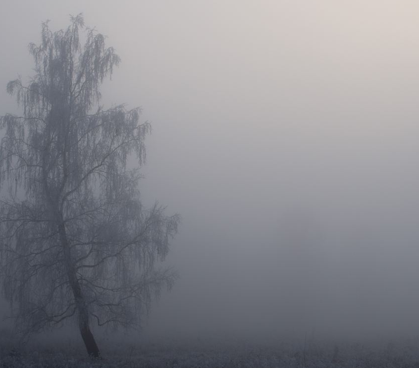 去新加坡留学学习和生活安全需要注意哪些