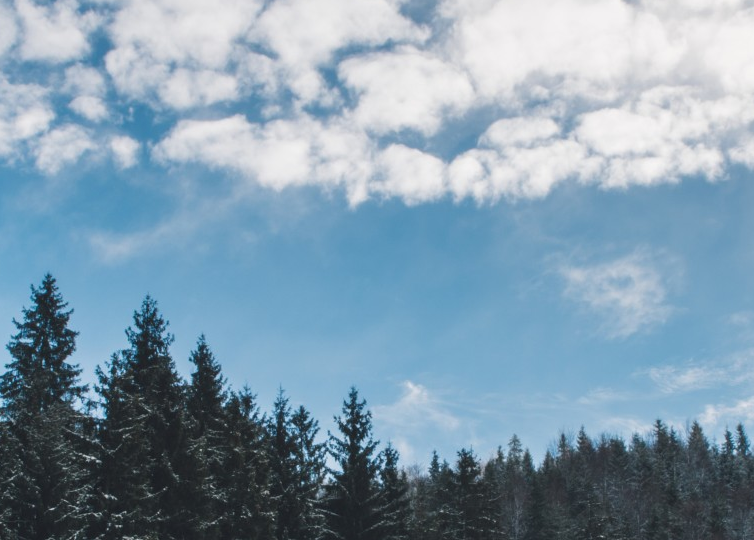 想去新加坡留学这两种途径你要知道 想去新加坡留学这两种途径你要知道