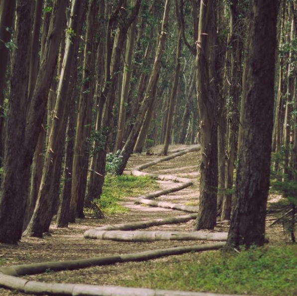 美国留学和英国留学申请，生活上面的区别