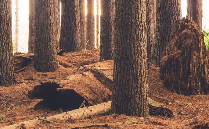 去英国留学有哪些兼职是小伙伴们可以做的 去英国留学有哪些兼职是小伙伴们可以做的