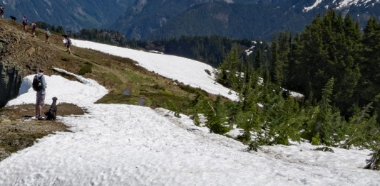 你不会知道的新加坡国籍有多贵 你不会知道的新加坡国籍有多贵
