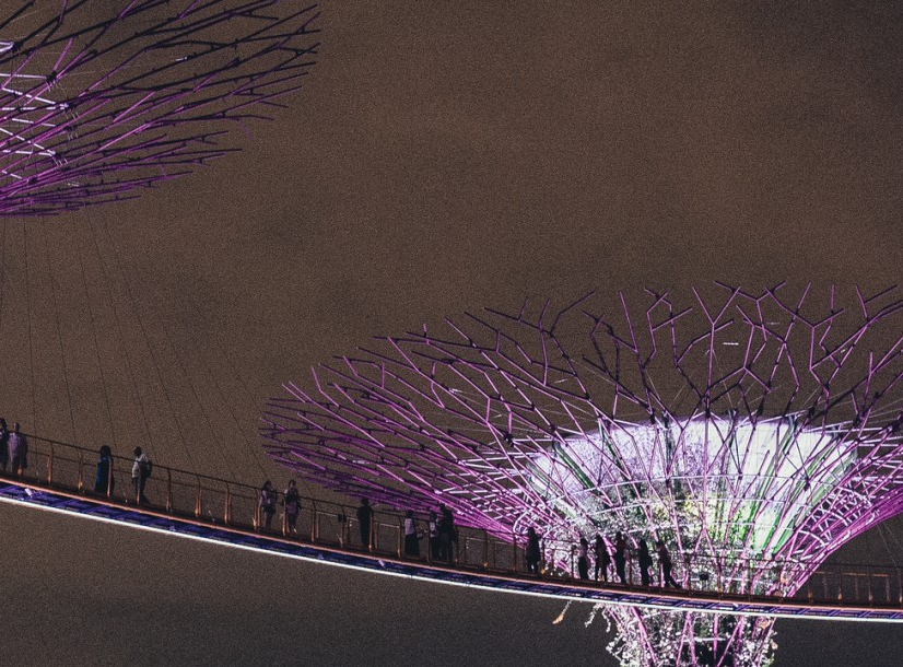 低龄留学新加坡前准备工作有哪些 低龄留学新加坡前准备工作有哪些