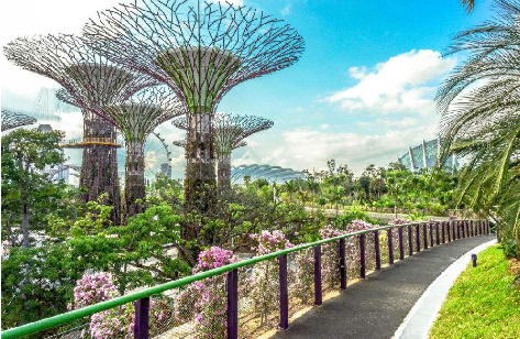 新加坡留学趋势和留学目的要知道 新加坡留学趋势和留学目的要知道