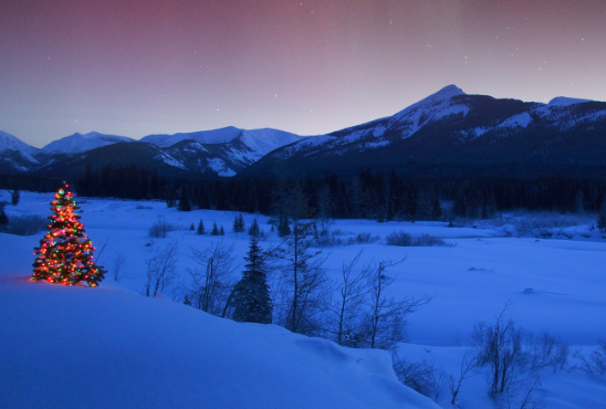 新加坡留学丨计算机专业感兴趣的看这边 新加坡留学丨计算机专业感兴趣的看这边