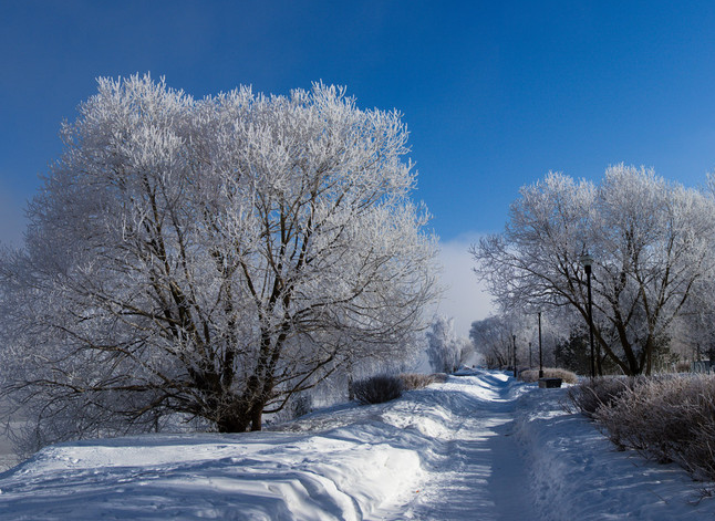 新加坡留学丨博伟教育学院的十大理由让你钟情它