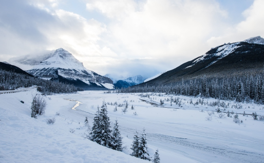 新加坡对于双语教育有多重视