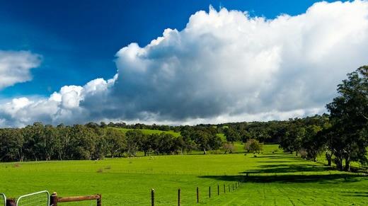 1527323949375118.jpg 1527323949375118.jpg