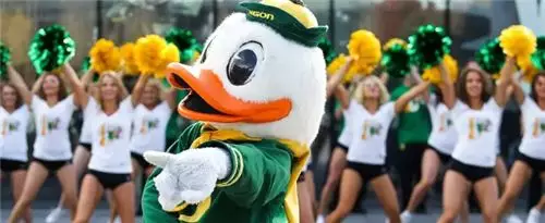 1529479628399042.png 6671062f269a4045b58b7b2f75f6e228.png