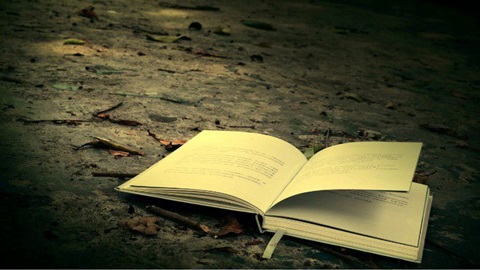 新加坡本科留学申请条件 新加坡本科留学申请条件