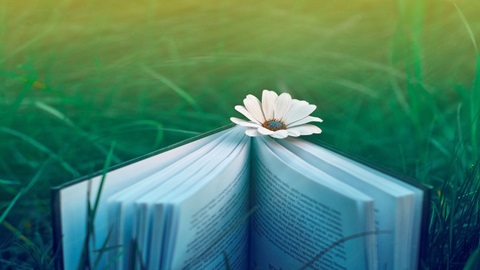 加拿大私立高中留学的特点和优势