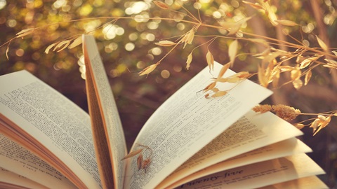 作为加拿大留学新生的你,需要了解开户的步骤! 作为加拿大留学新生的你,需要了解开户的步骤!