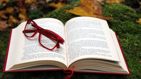 德国卡普蒂姆文理中学课程解析