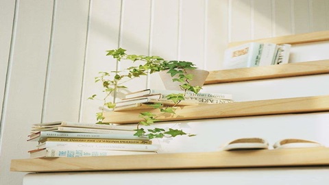 如何顺利申请德国高中? 如何顺利申请德国高中?