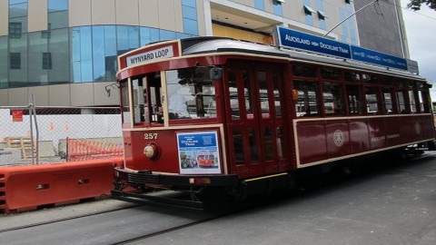 澳洲南十字星大学新增课程了，看看有没有适合你?