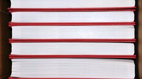 加拿大雇主担保移民政策