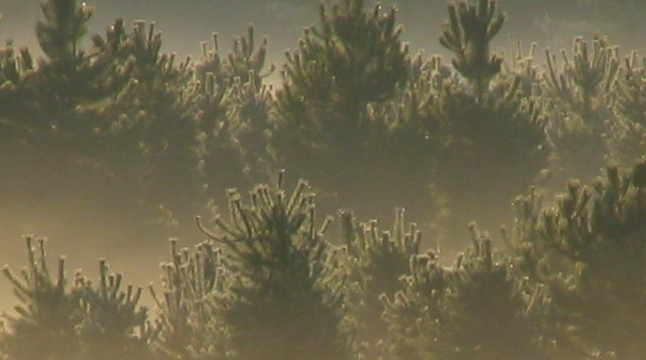 中国人写的留学推荐信含金量有多高呢 中国人写的留学推荐信含金量有多高呢