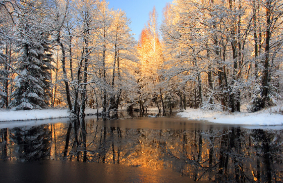 新加坡推荐院校:思德福学院 新加坡推荐院校:思德福学院