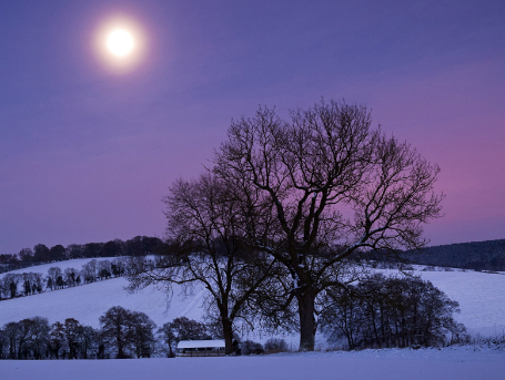 2018年哪些专业是比较高薪的职业 2018年哪些专业是比较高薪的职业