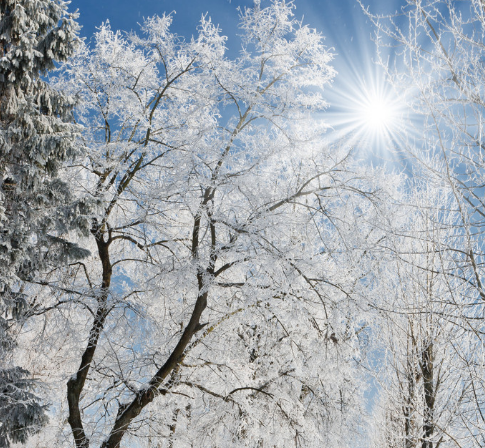 新加坡这些优势你不会不想知道 新加坡这些优势你不会不想知道