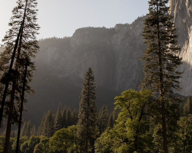 新加坡淡马锡理工学院留学条件要知道 新加坡淡马锡理工学院留学条件要知道