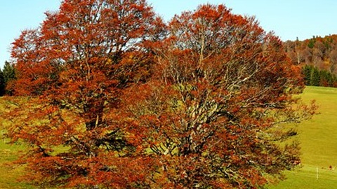 新加坡寓教于乐的教育方式,让授课更轻松 新加坡寓教于乐的教育方式,让授课更轻松