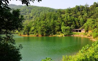 新加坡车牌文化你知道多少呢 新加坡车牌文化你知道多少呢