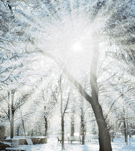 新加坡留学选对学校对未来发展很重要 新加坡留学选对学校对未来发展很重要