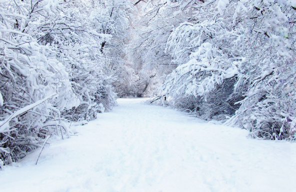 新加坡凯博学院——足以媲美公立大学的商学院
